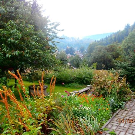 Apartman Aya Janov nad Nisou Esterno foto