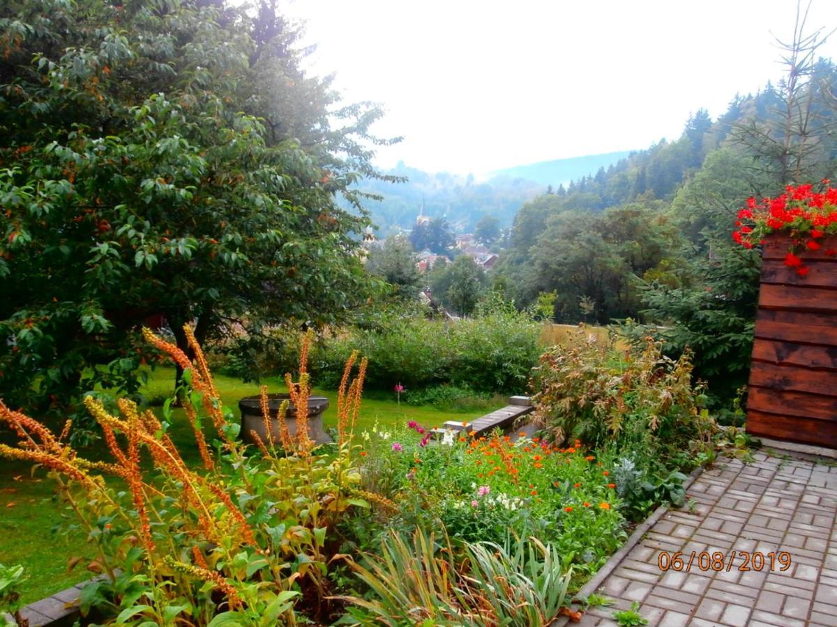 Apartman Aya Janov nad Nisou Esterno foto