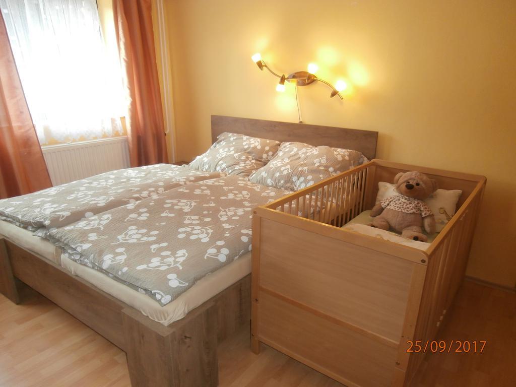 Apartman Aya Janov nad Nisou Esterno foto